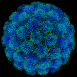 Полиоваксини, SV40 и рак?